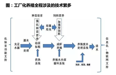 2018年生鲜供应链生态全景图 新鲜蔬菜零售的变革与机遇