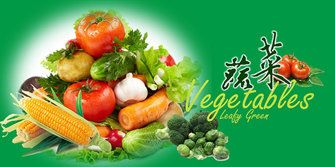 绿意鲜活 · 新鲜蔬菜直销